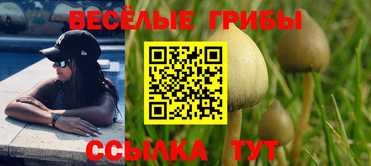 Галлюциногенные грибы GOLDEN TEACHER  Вход с VPN  Верхняя Салда  Галлюциногенные грибы ЛСД 
